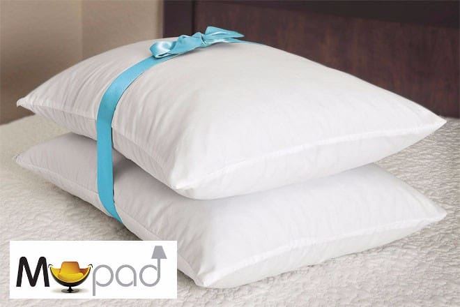 twin-pack-pillow-with-logo