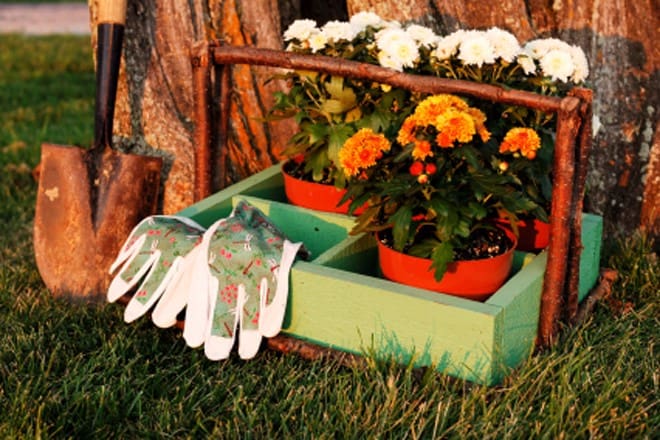 autumn-gardening-istock7644275