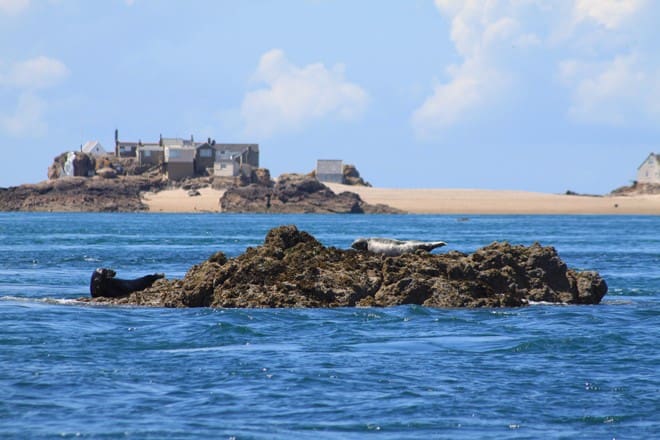 jersey-seafaris-ecrehous-660×440