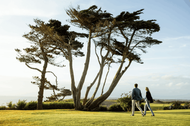 PNG-AtlanticHotel_Poolside_ALG-10366 (1)